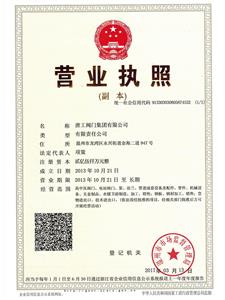 Business License