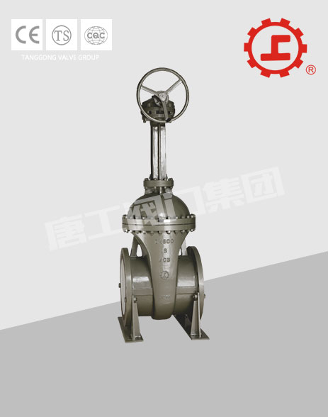 ANSI CAST STEEL FLANGED GATE VALVE