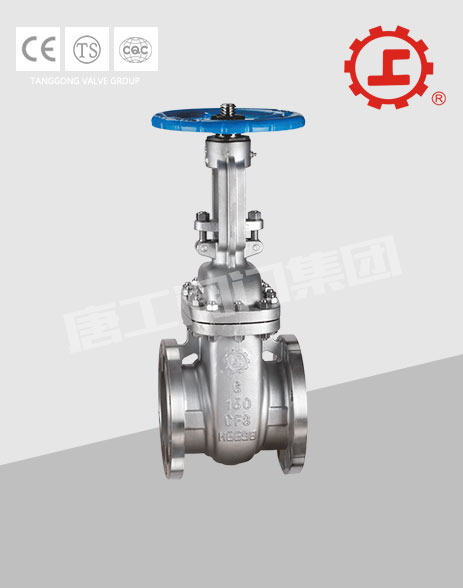 ANSI FLANGED END STAINLESS STEEL GATE VALVE